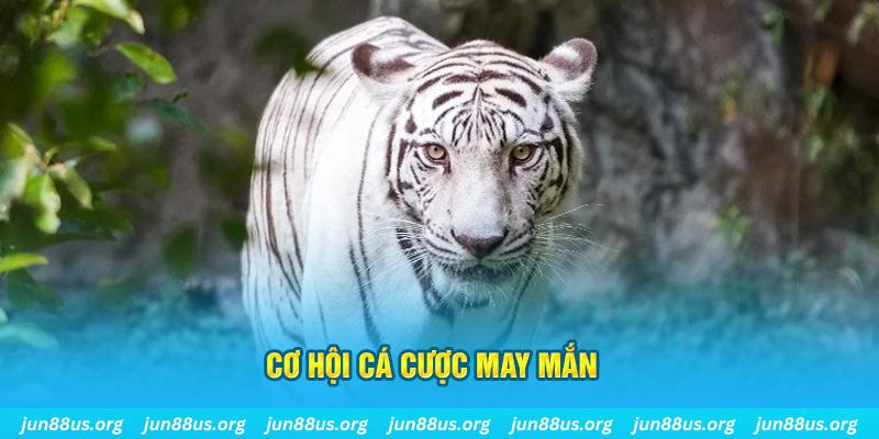 18win1 hết slot la gì