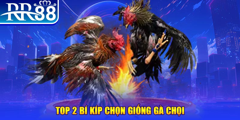 18win1 đăng nhập roulette dễ thắng