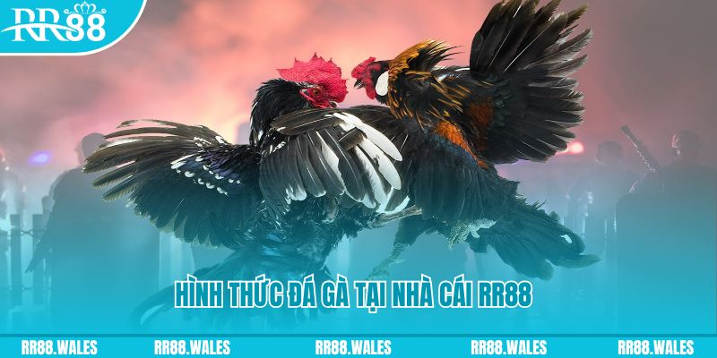 18win1 PS Điện Tử