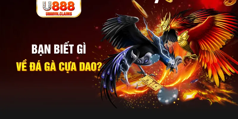 18win1 xổ số kiến thiết