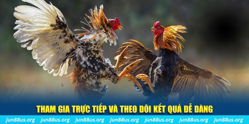 18win1 đá gà trực tiếp bình luận viên