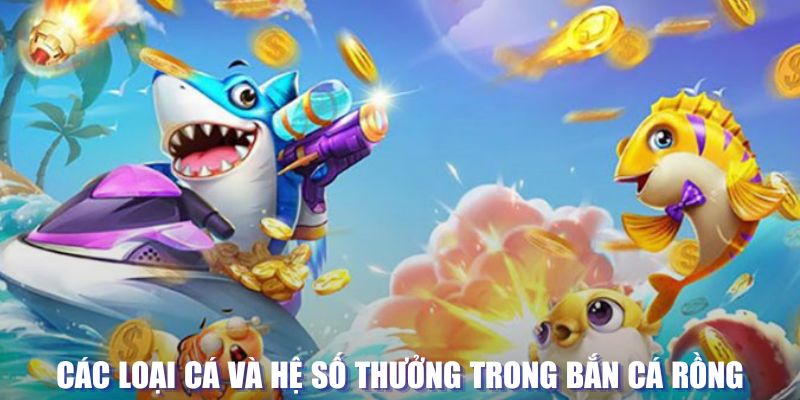 18win1 loi game dot kich ket noi may chu that bai