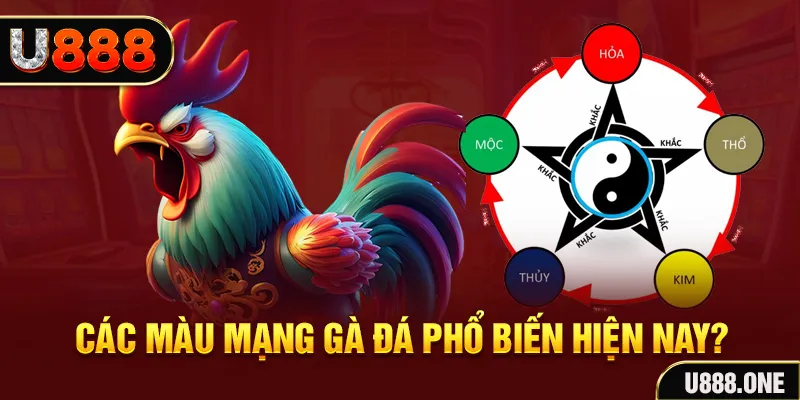 18win1 đăng nhập mậu binh