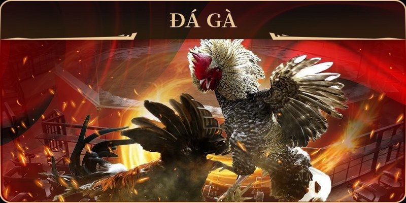 18win1 no hu doi thuong ai