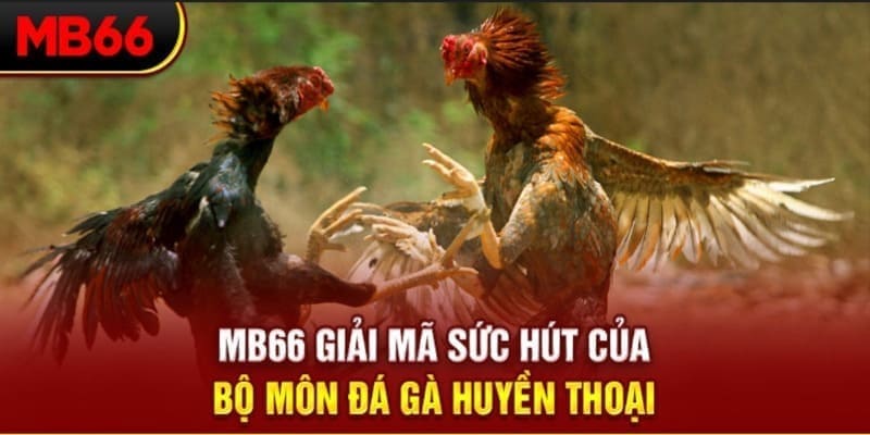 18win1 Phi Đội Ưu Tú