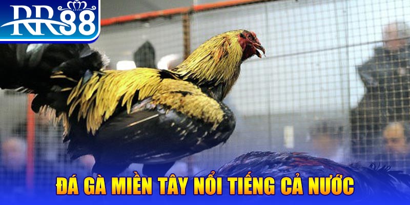18win1 xo so hom nay