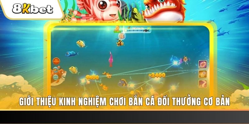 18win1 xổ số miền bắc thứ năm hàng tuần