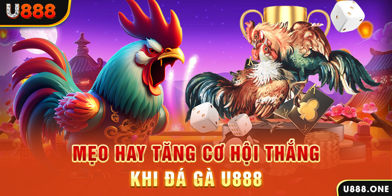 18win1 trực tiếp gà chọi c1