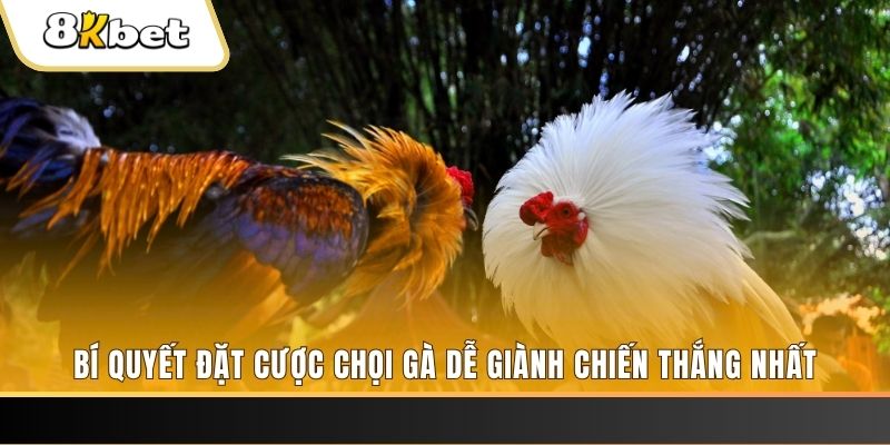 18win1 Tài Xỉu 2