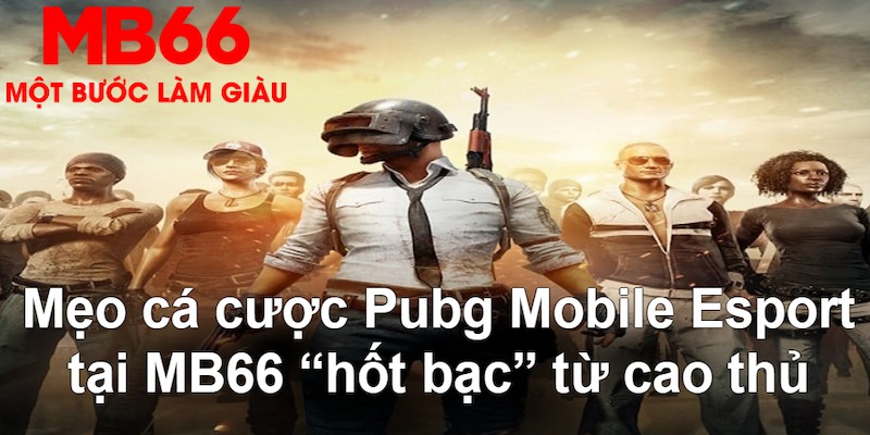 18win1 gà chọi mộc hóa