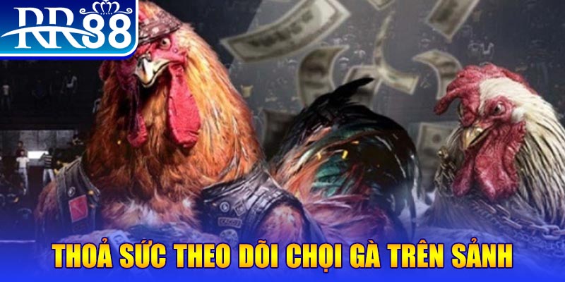 18win1 đá gà 88.com