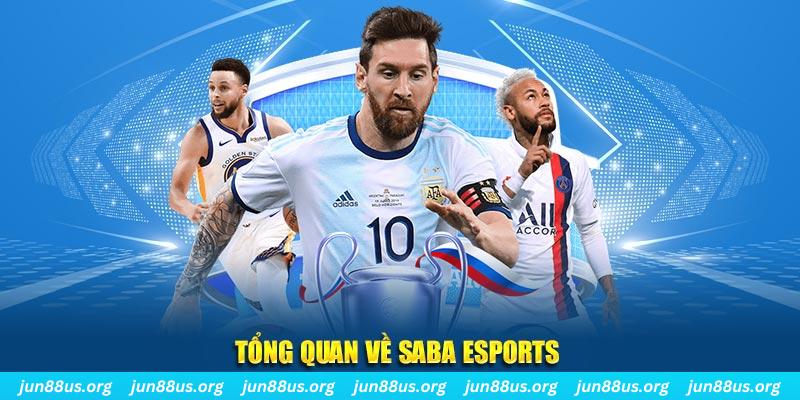 18win1 gà chọi c1 tv trực tiếp hôm nay